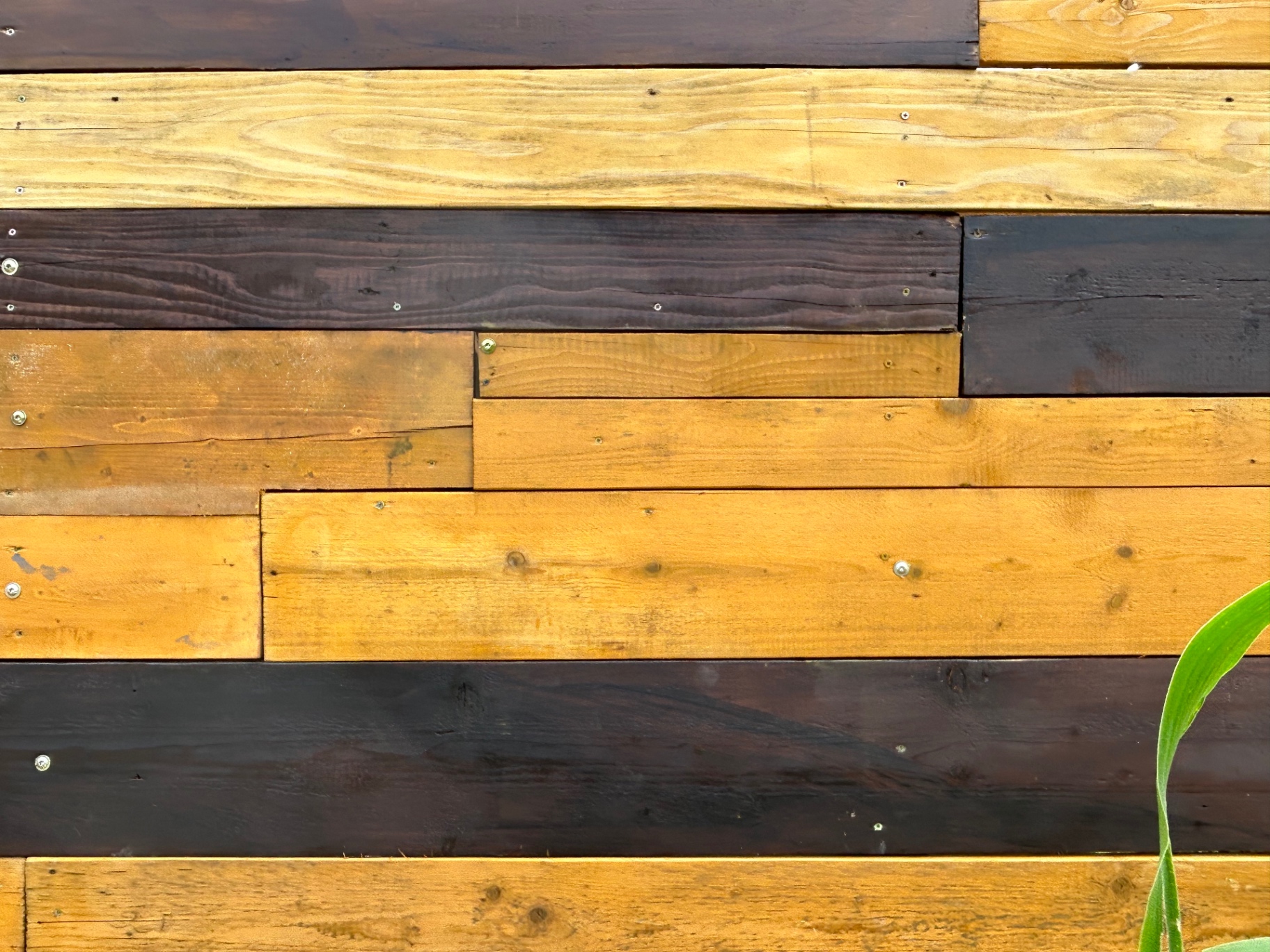 Sketch 03 · Timber Grain